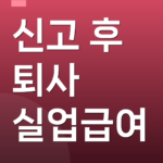 신고 후 퇴사 실업급여