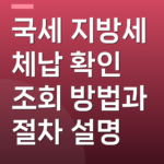 국세 지방세 체납 확인 조회 방법과 절차 설명