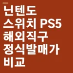 닌텐도 스위치 PS5 해외직구 정식발매가 비교